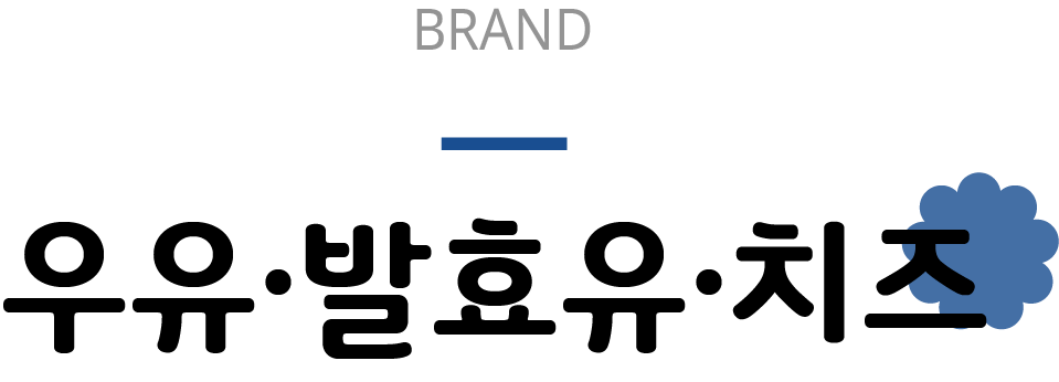 brand 우유 발효유 치즈